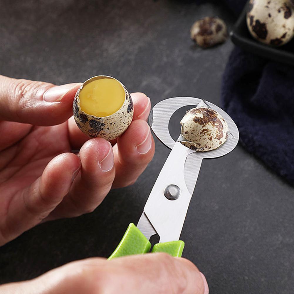 Pigeon Quail Open Crack Small  - Egg Separator Tool review and price
